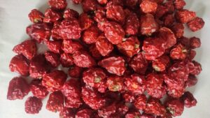 Dalle Khursani Chili