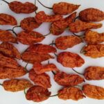 Oven Dried Ghost Pepper