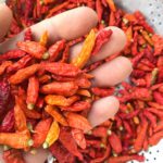 birds eye chili