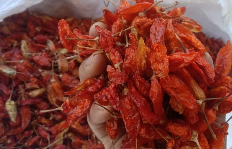 Bird eye chilli